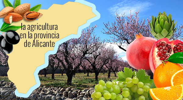 La agricultura en la provincia de Alicante